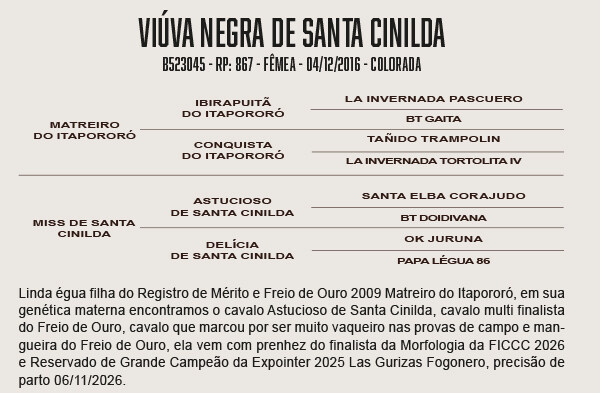 Geração VIÚVA NEGRA DE SANTA CINILDA