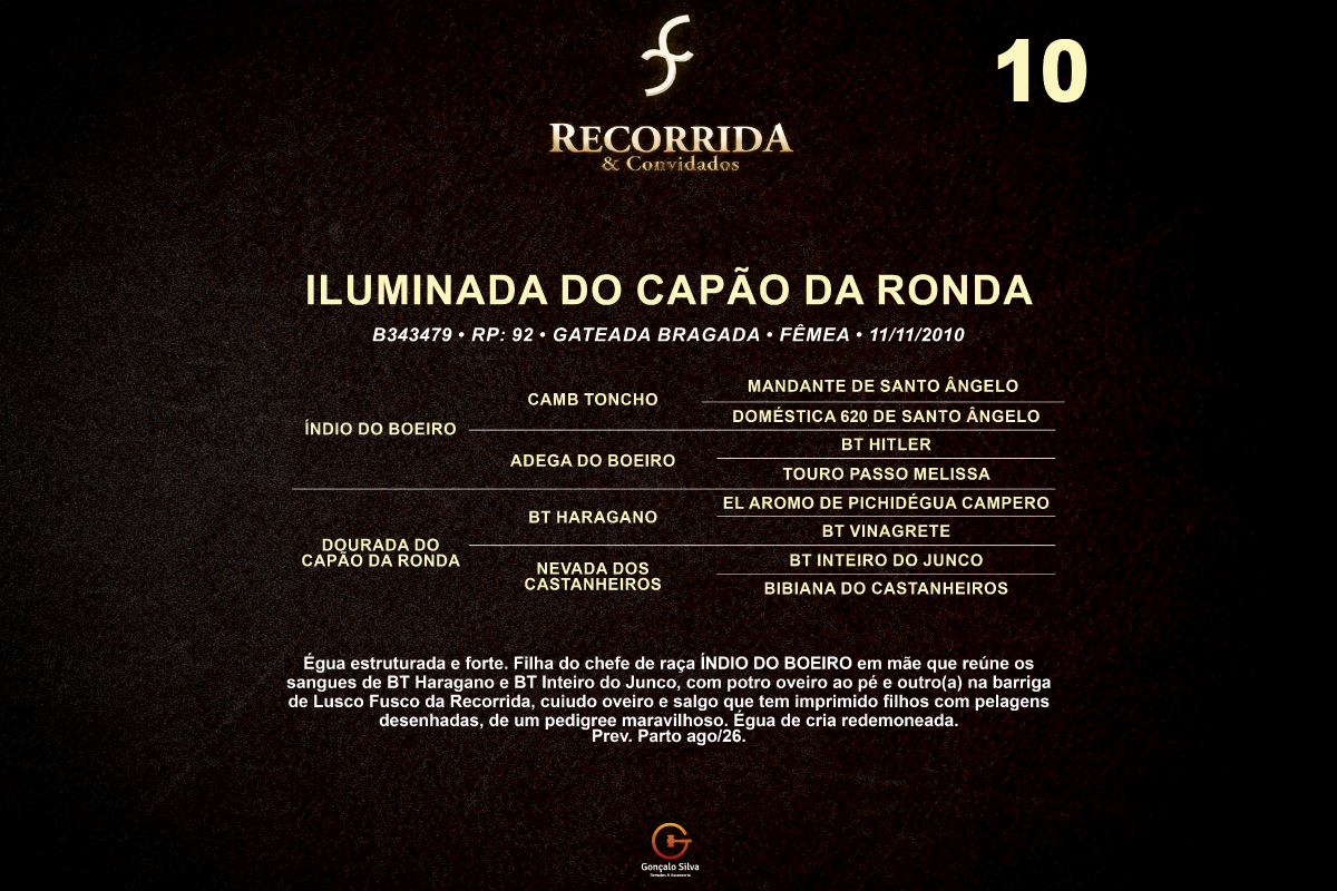 Geração ILUMINADA DO CAPÃO RONDA