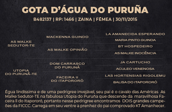 Geração GOTA D'AGUA DO PURUNÃ ( BARRIGA )