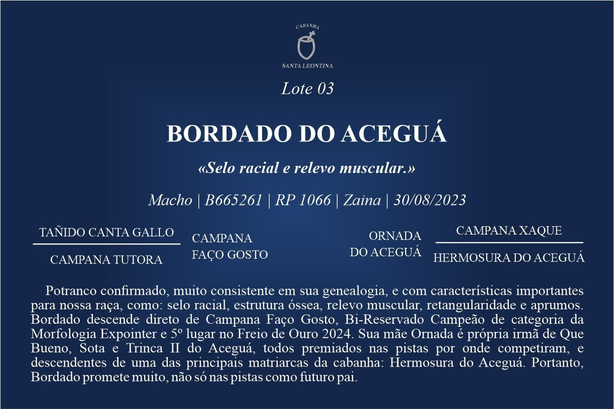 Geração BORDADO DO ACEGUÁ