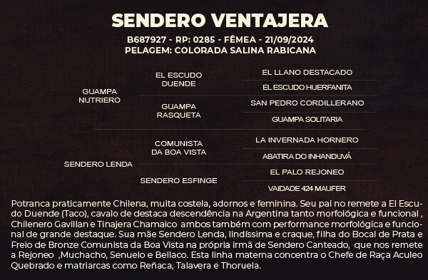 Geração SENDERO VENTAJERA