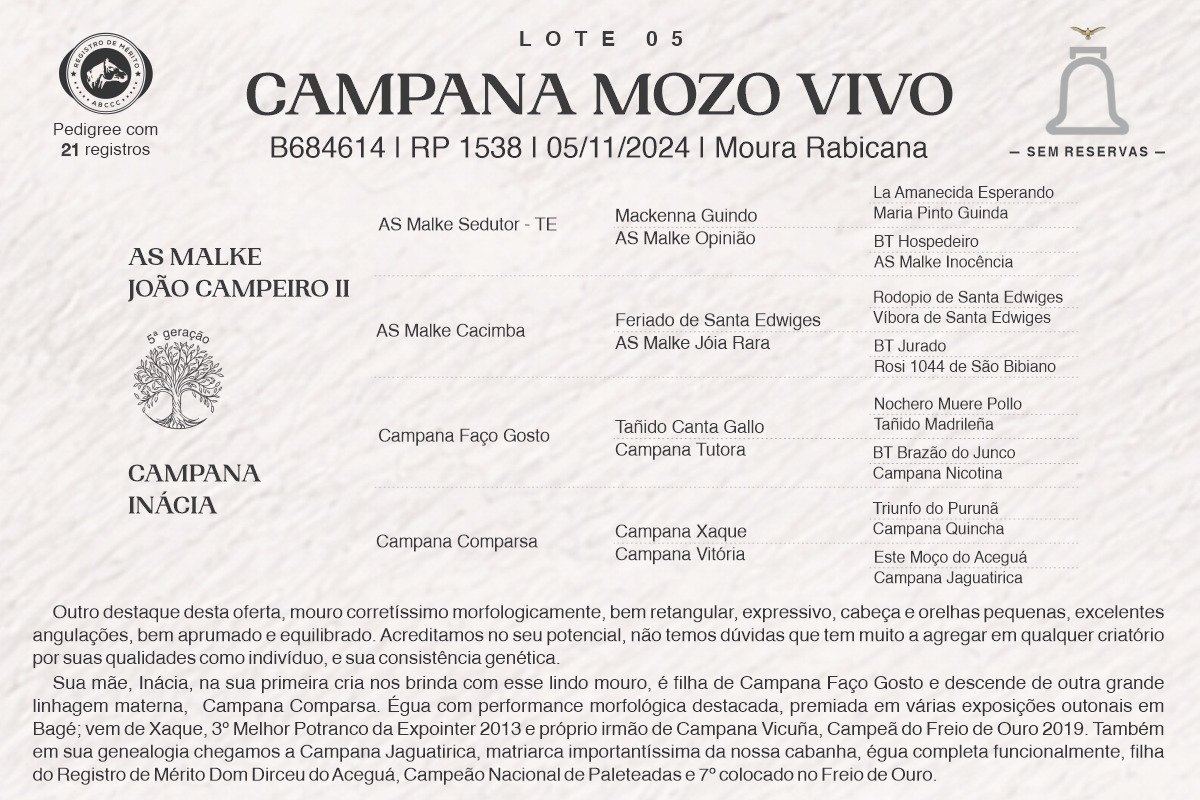 Geração CAMPANA MOZO VIVO