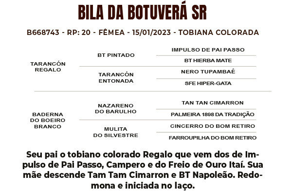 Geração BILA DA BOTUVERÁ SR