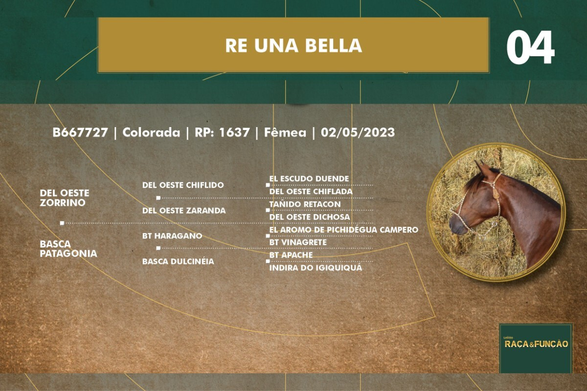 Geração RE UNA BELLA