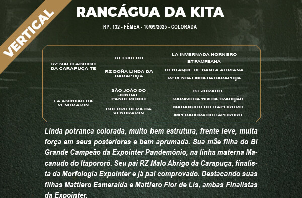 Geração VERTICAL RANCAGUA DA KITA OU RAMONA DA KITA 