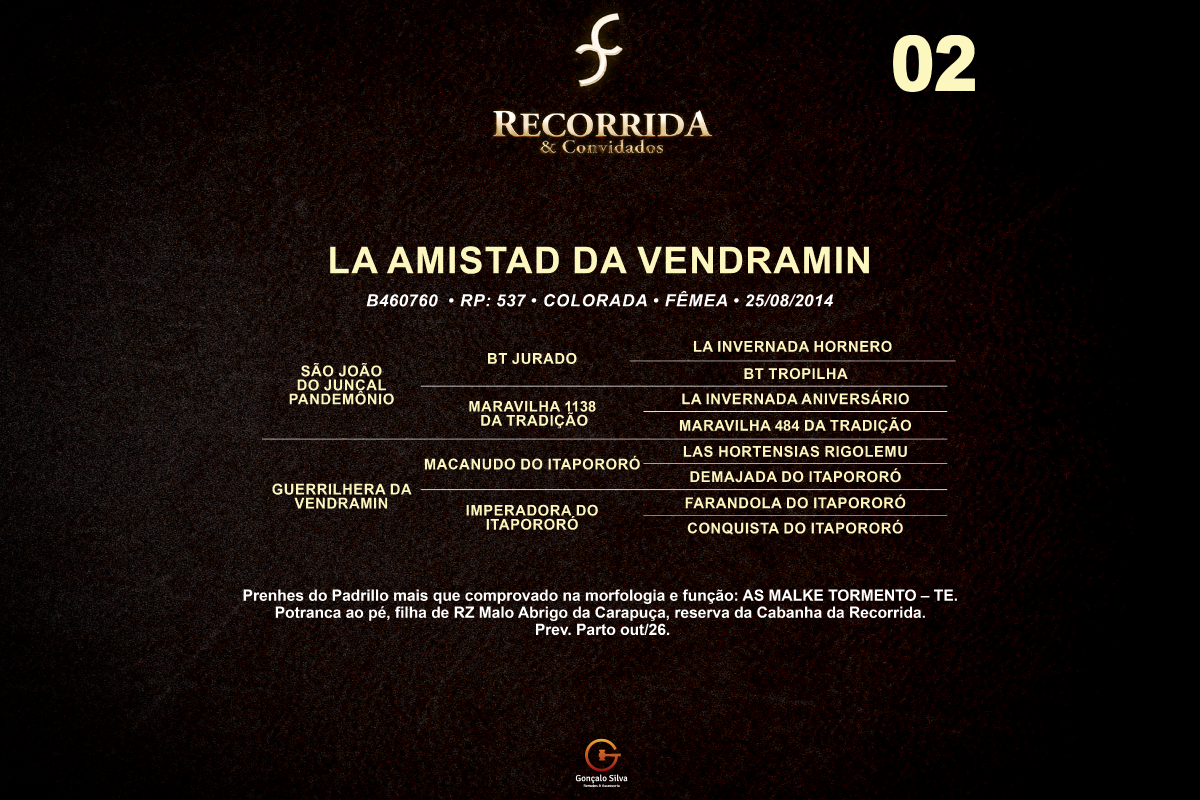 Geração LA AMISTAD DA VENDRAMIN 