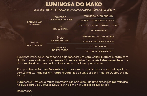 Geração LUMINOSA DO MAKO 