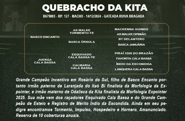 Geração QUEBRACHO DA KITA 