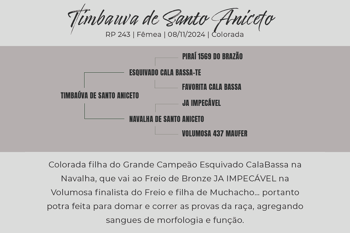 Geração TIMBAUVA DE SANTO ANICETO