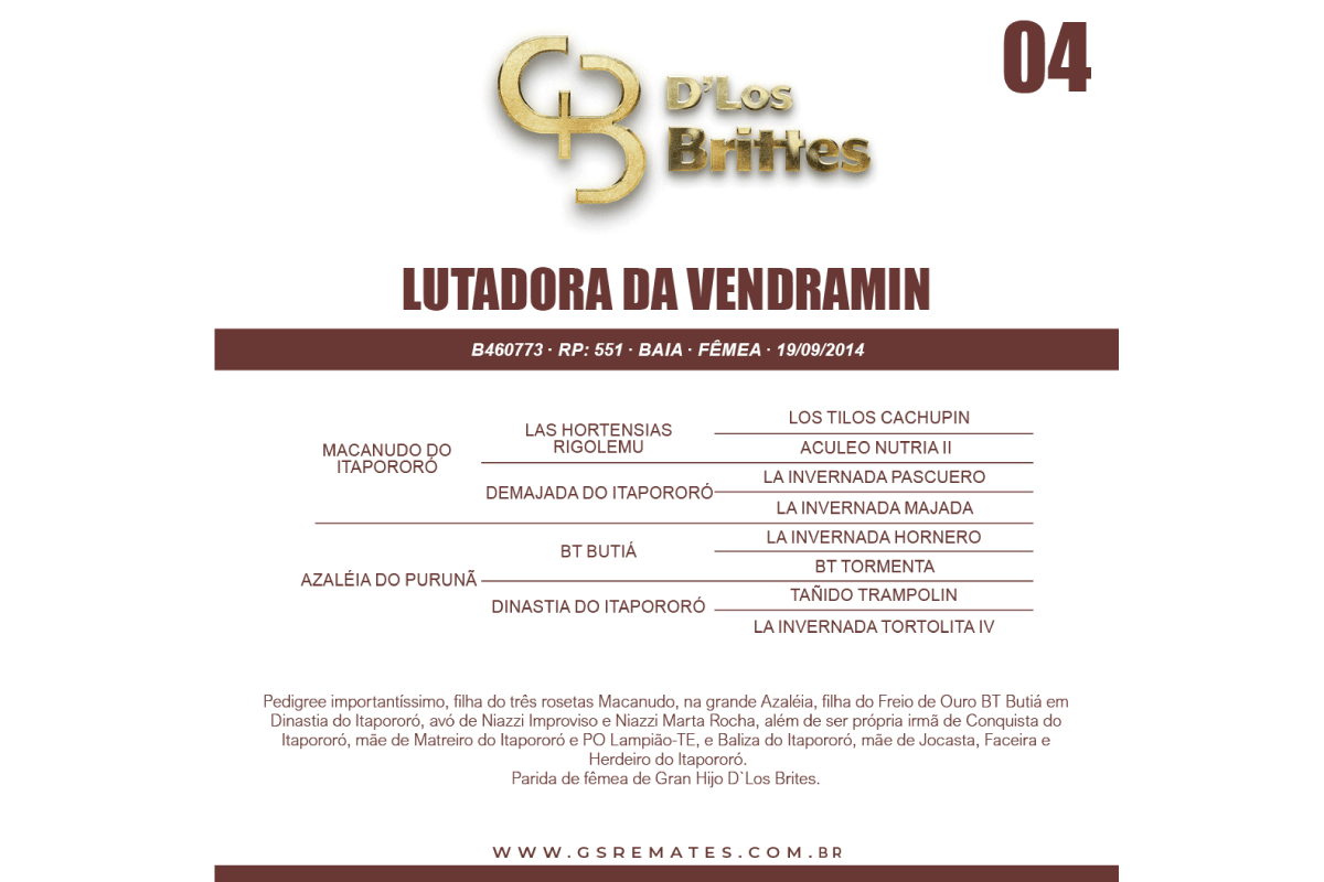 Geração LUTADORA DA VENDRAMIN