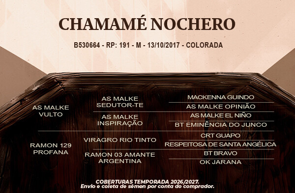 Geração Chamamé Nochero