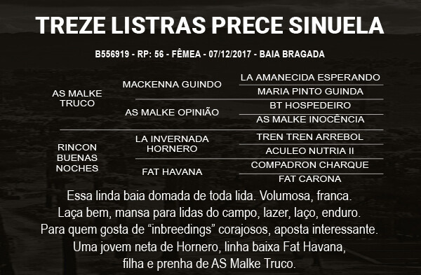 Geração TREZE LISTRAS PRECE SINUELA