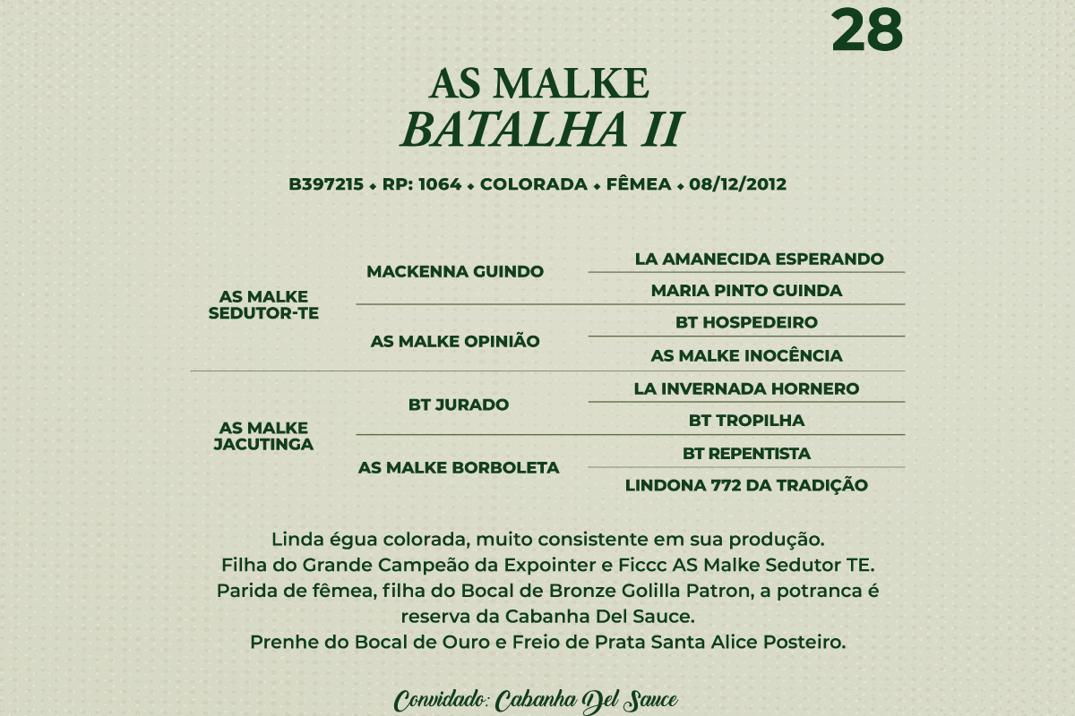 Geração AS MALKE BATALHA II