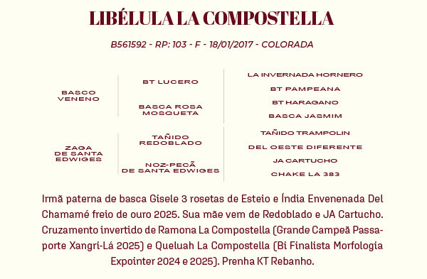 Geração LIBÉLULA LA COMPOSTELLA