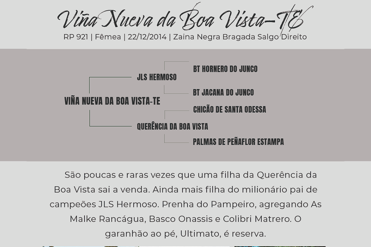 Geração VIÑA NUEVA DA BOA VISTA-TE