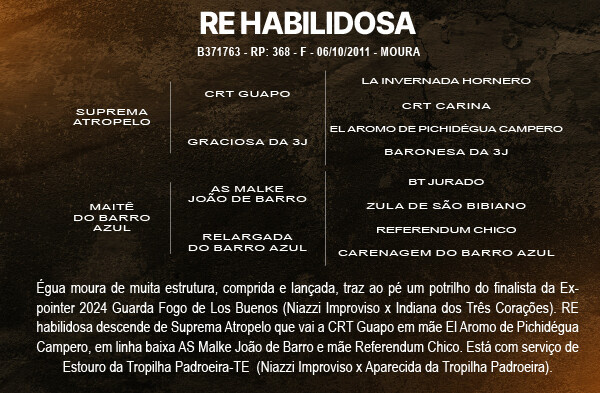 Geração RE HABILIDOSA