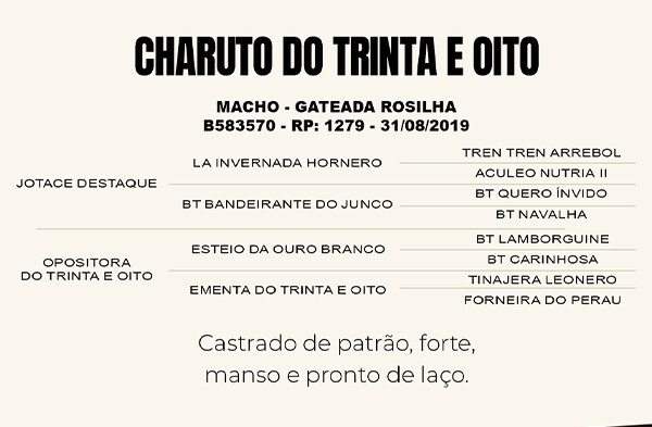 Geração CHARUTO DO TRINTA E OITO