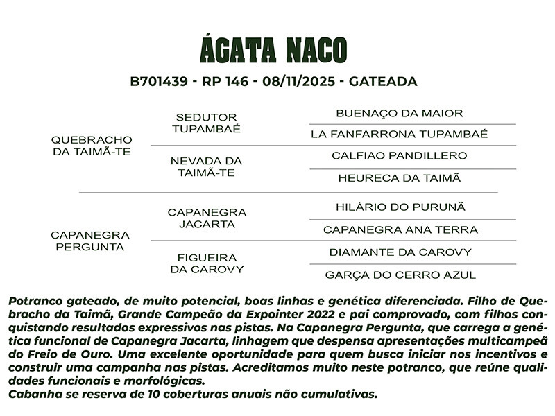 Geração ÁGATA NACO 