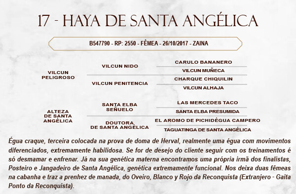 Geração HAYA DE SANTA ANGELICA 