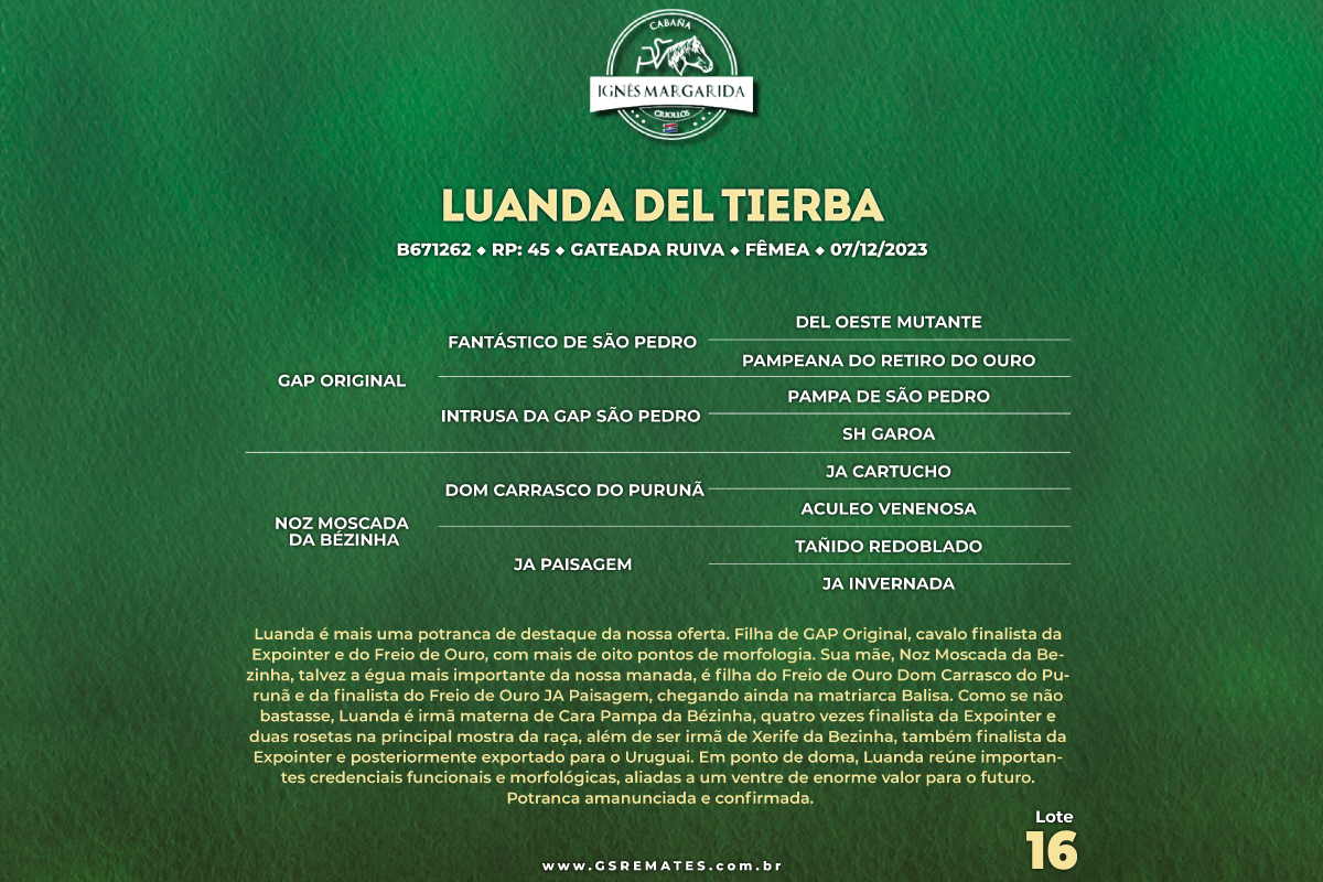 Geração LUANDA DEL TIERBA