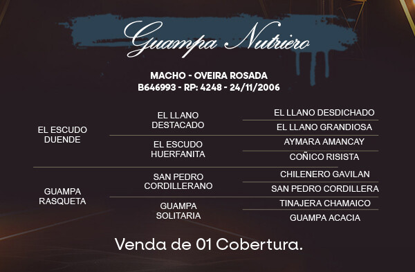 Geração COBERTURA GUAMPA NUTRIERO