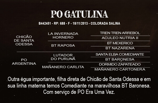 Geração PO GATULINA