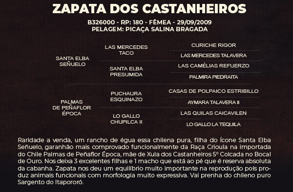 Geração ZAPATA DOS CASTANHEIROS