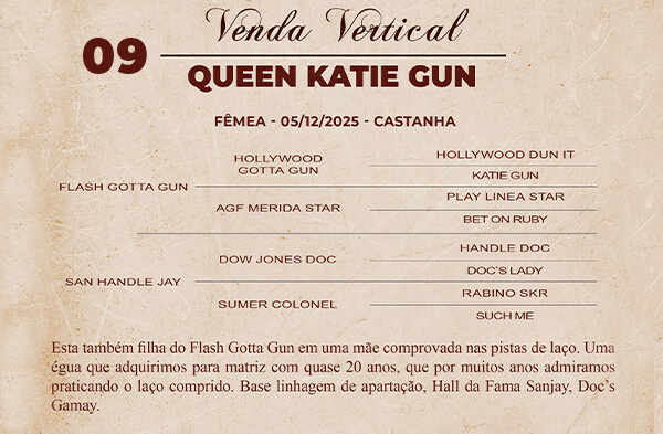Geração VERTICAL  QUEEN KETIE GUN OU PEPPY SMART GUN