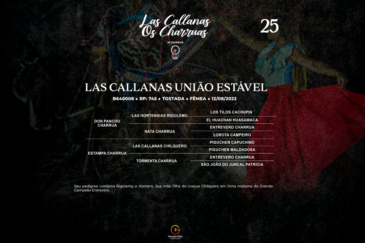 Geração LAS CALLANAS UNIÃO ESTÁVEL