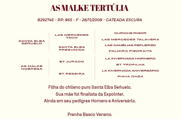 Geração AS MALKE TERTÚLIA 