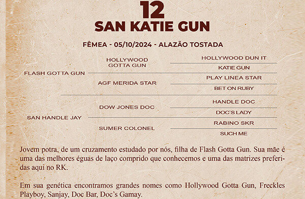 Geração SAN KATIE GUN