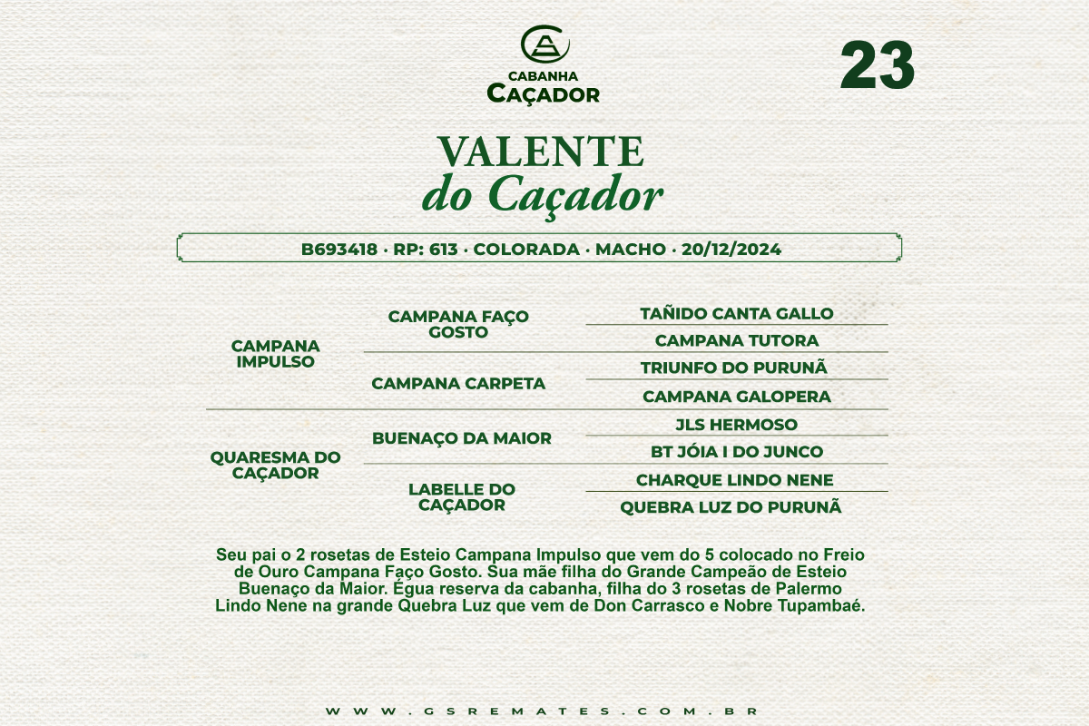 Geração VALENTE DO CAÇADOR 