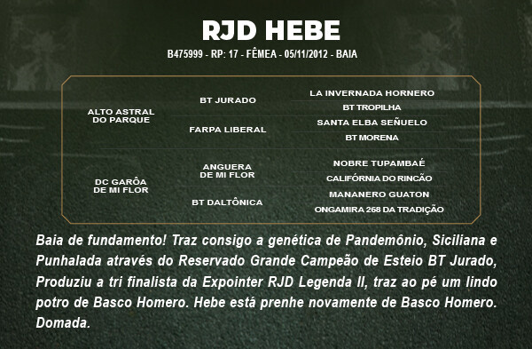 Geração RJD HEBE 