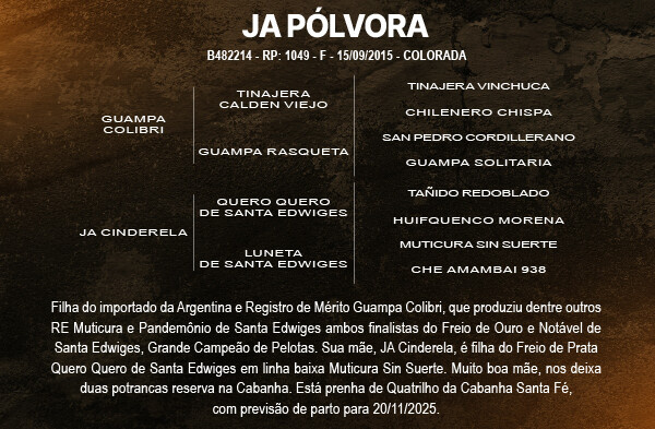 Geração JA POLVORA