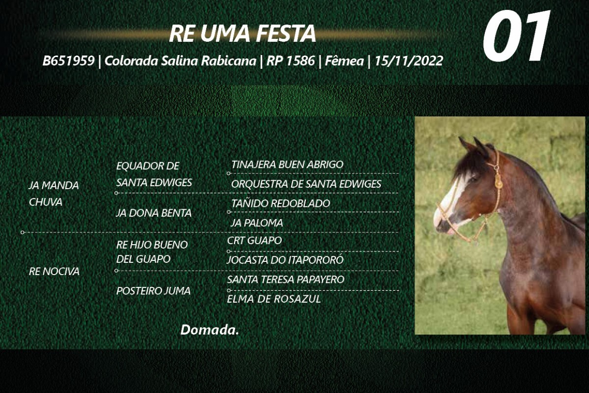 Geração RE UMA FESTA