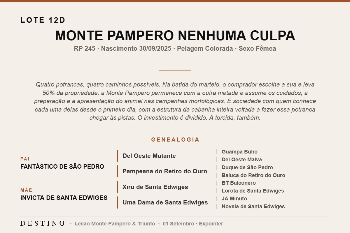 Geração MONTE PAMPERO NENHUMA CULPA - (Venda vertical)
