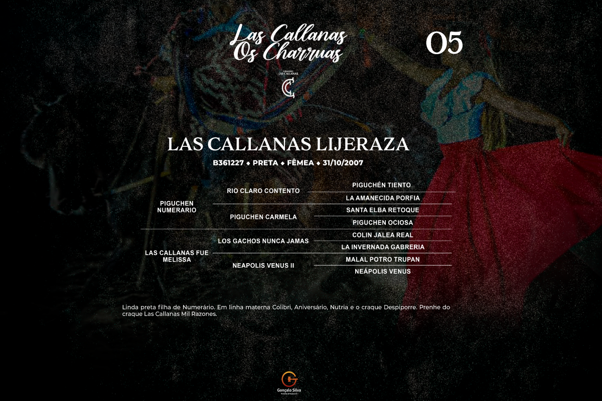 Geração LAS CALLANAS LIJERAZA