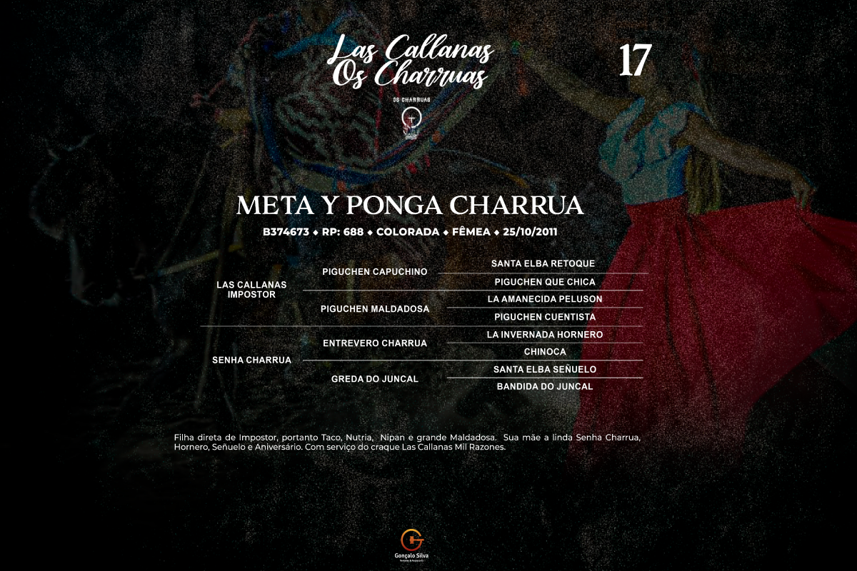 Geração  META Y PONGA CHARRUA