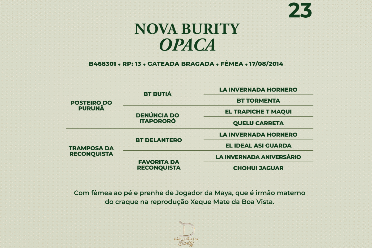 Geração NOVA BURITY OPACA