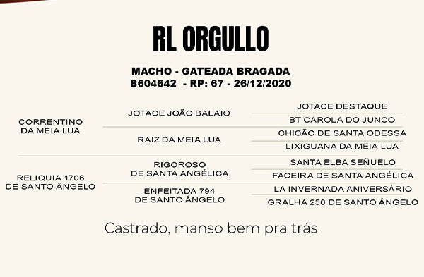 Geração RL ORGULLO