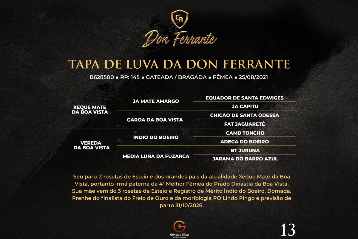 Geração TAPA DE LUVA DA DON FERRANTE 