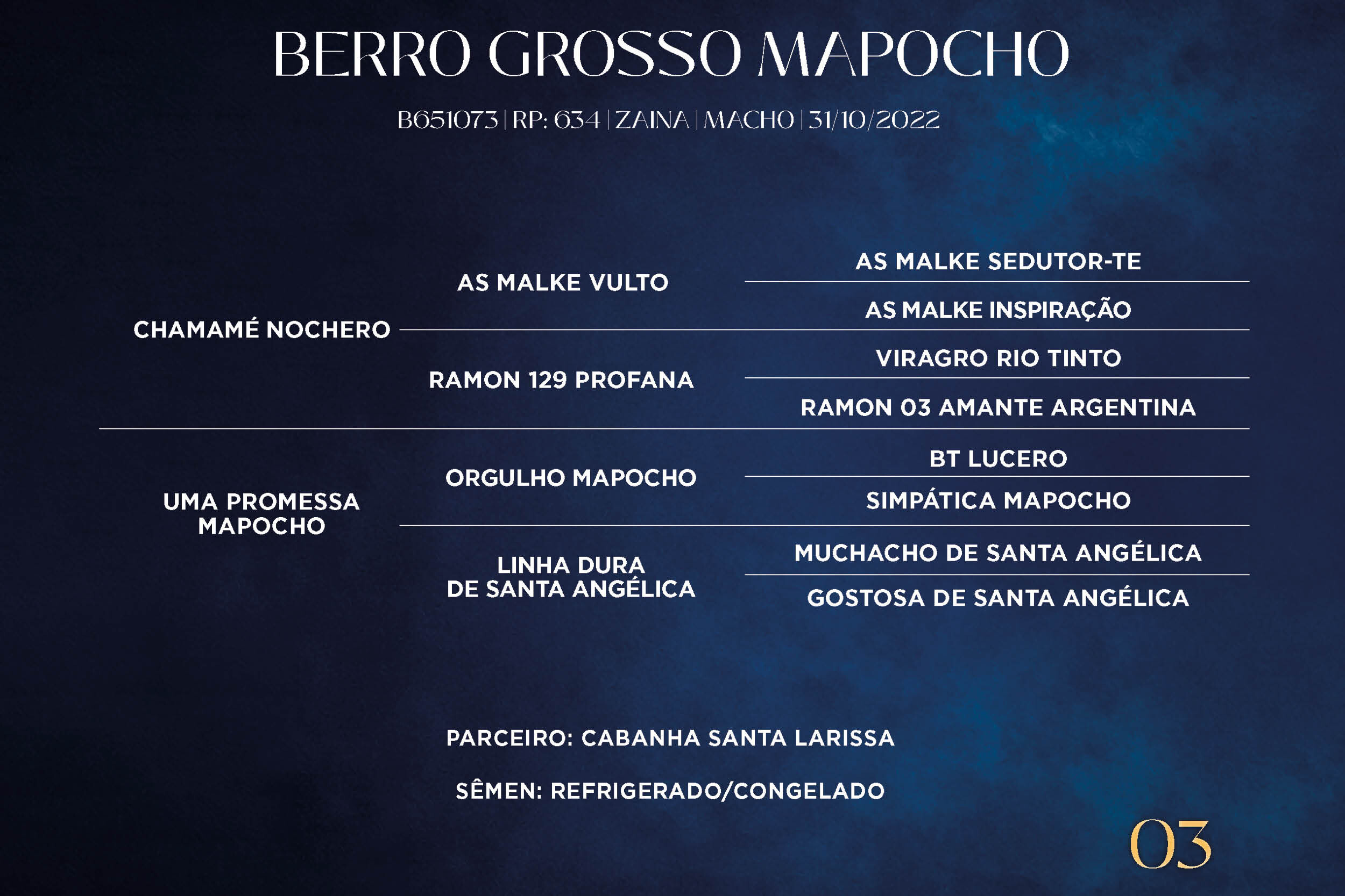 Geração BERRO GROSSO MAPOCHO