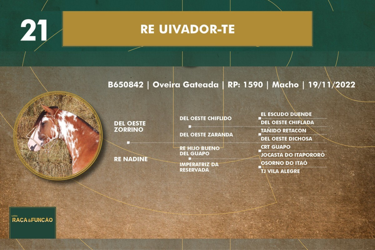 Geração RE UIVADOR-TE