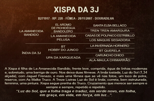 Geração XISPA DA 3J - VENDA VERTICAL