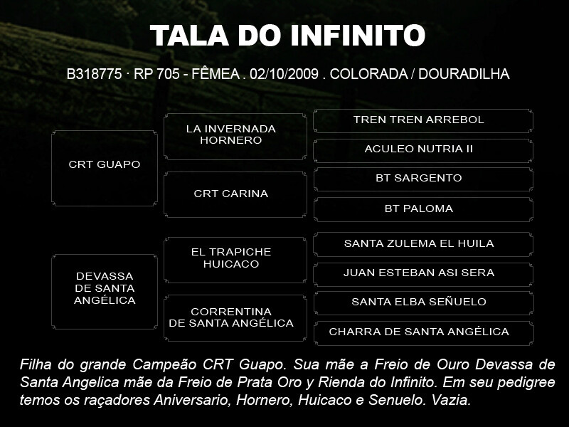 Geração TALA DO INFINITO 