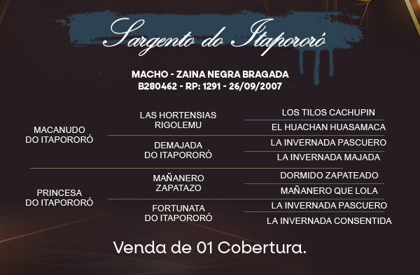 Geração COBERTURA SARGENTO DO ITAPORÓRO 