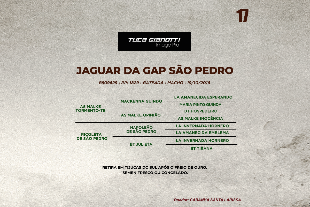 Geração JAGUAR DA GAP SAO PEDRO 