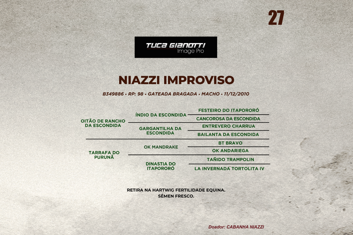 Geração NIAZZI IMPROVISO