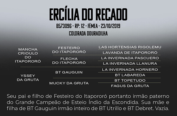 Geração ERCILIA DO RECADO