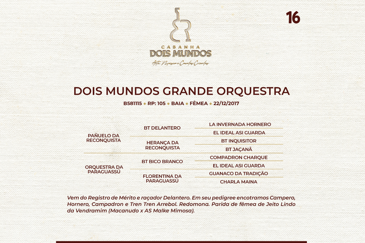 Geração DOIS MUNDOS GRANDE ORQUESTRA